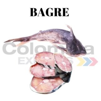 Bagre Congelado